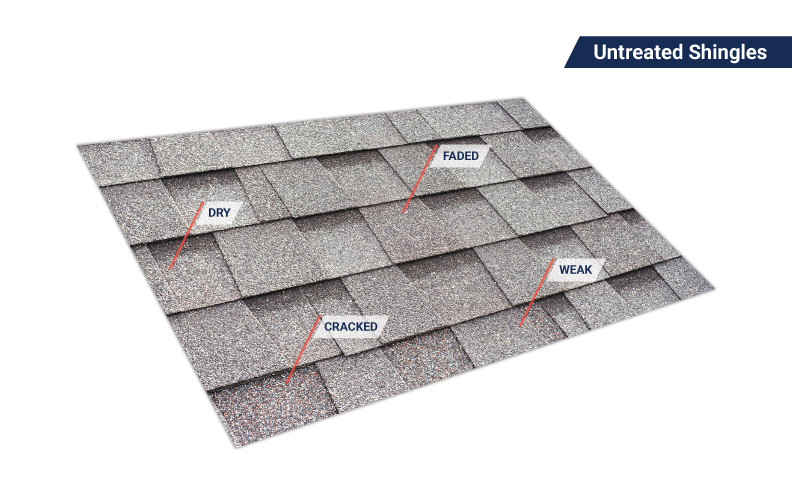 Untreated shingles